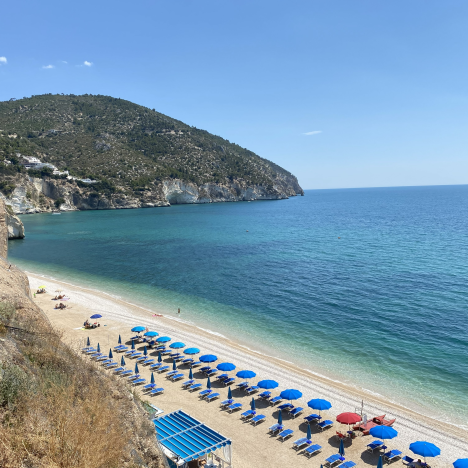 Ultimate Guide to Transportation in Italy: Trains, Buses, and More!